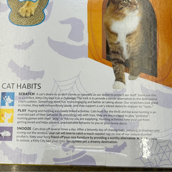 Kitty CITY NIB PUMPKIN HOUSE CORRUGATE SCRATCH BOARD STANDS UP TO HOURS OF - Picture 4 of 6